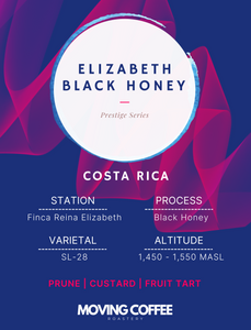 Elizabeth SL-28 Black Honey